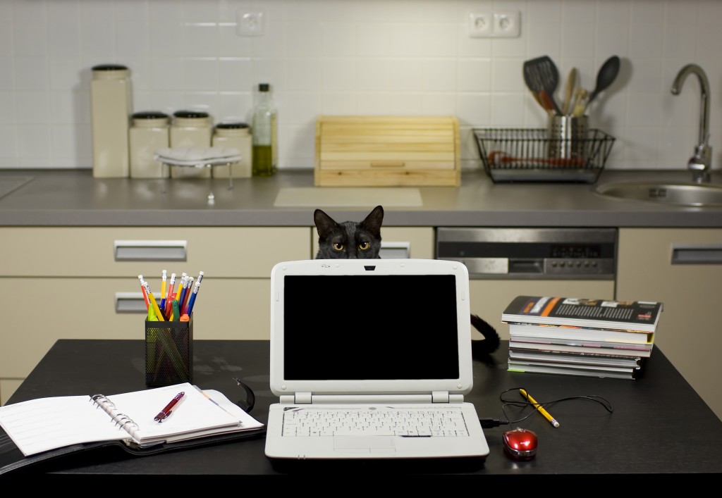 Licenciatura en línea, igual posibilidad de contratación | Blog - UTEL