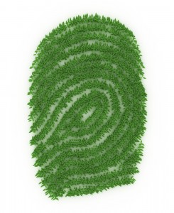 Reduce tu huella ecológica en 5 prácticos pasos